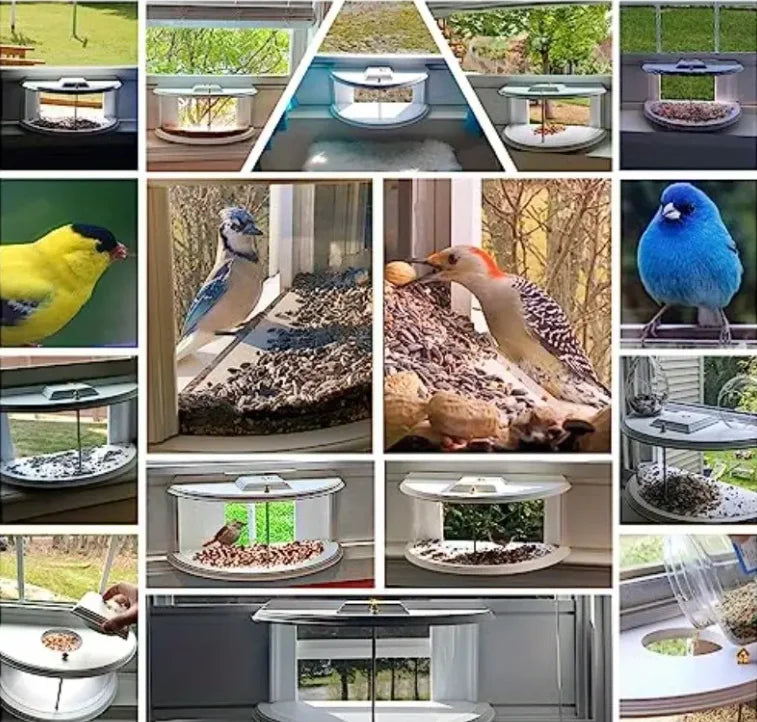 Window Bird Feeder With Clear View Tray Recessed Design