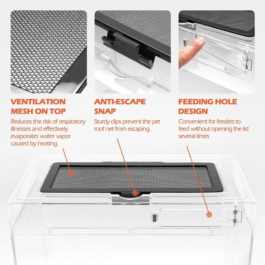 Hign-concerned Reptile Terrarium Starter Kit With Complete Accessories