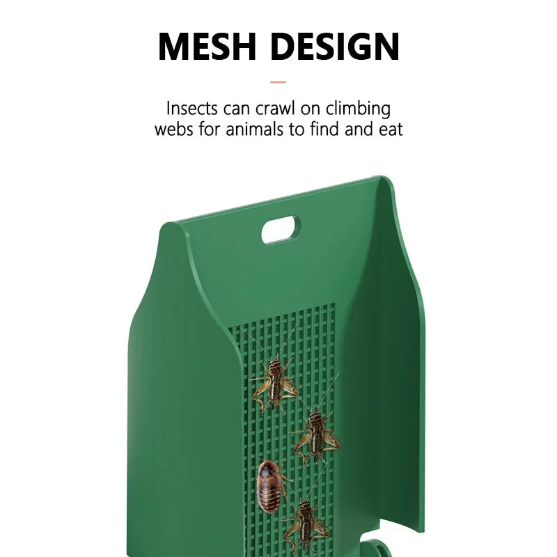 Hign-concerned Reptile Water Drinker Durable Materials Amphibian Terrarium Feeder