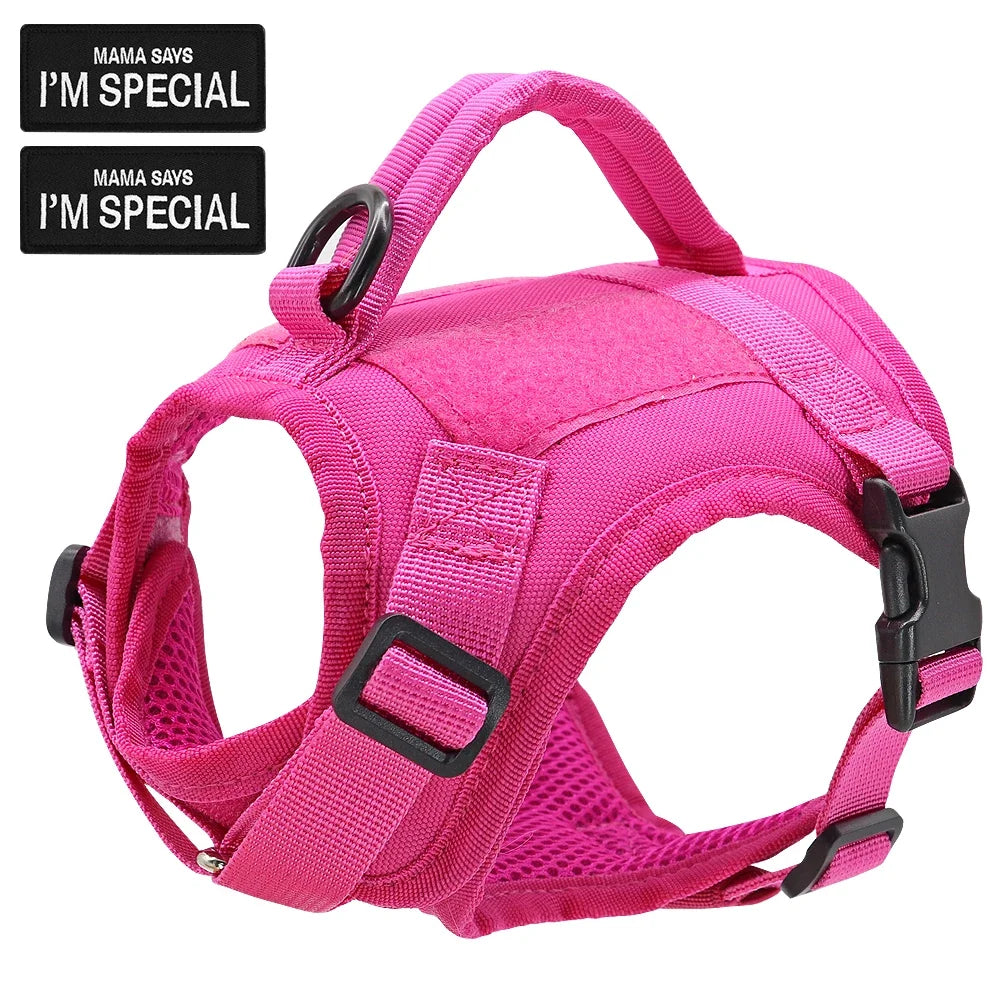 Nylon Cat Harness Vest With Handle For Cats And Dogs