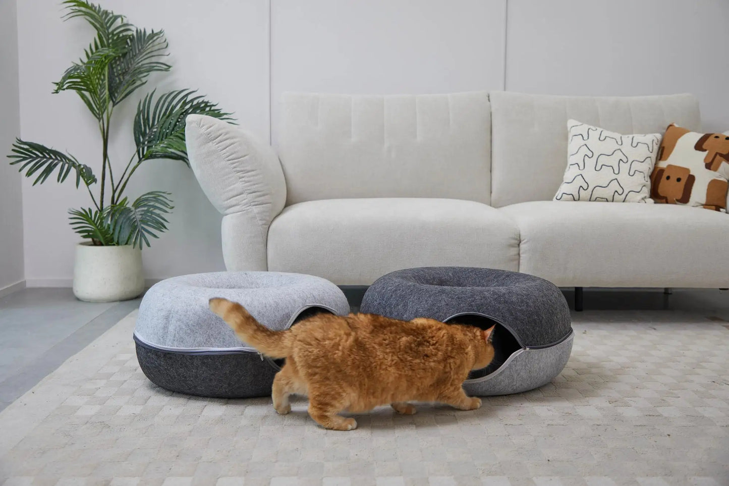 Is Smart Device Hexagon Cat Tunnel Bed For Multiple Cats Scratch Resistant Washable Felt