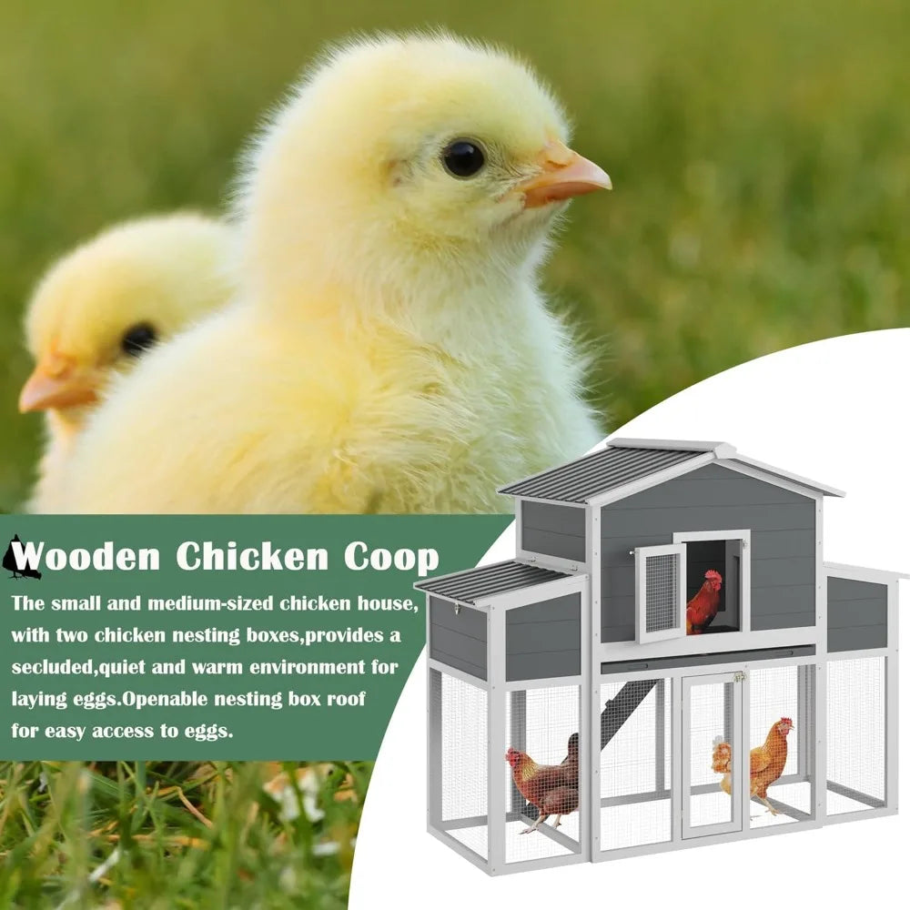 Cedar Chicken Coop 2 To 6 Chickens With Nest Boxes