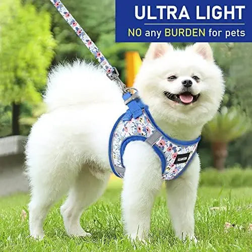 YTYIN Safe Harness And Leash Set Reflective For Pets