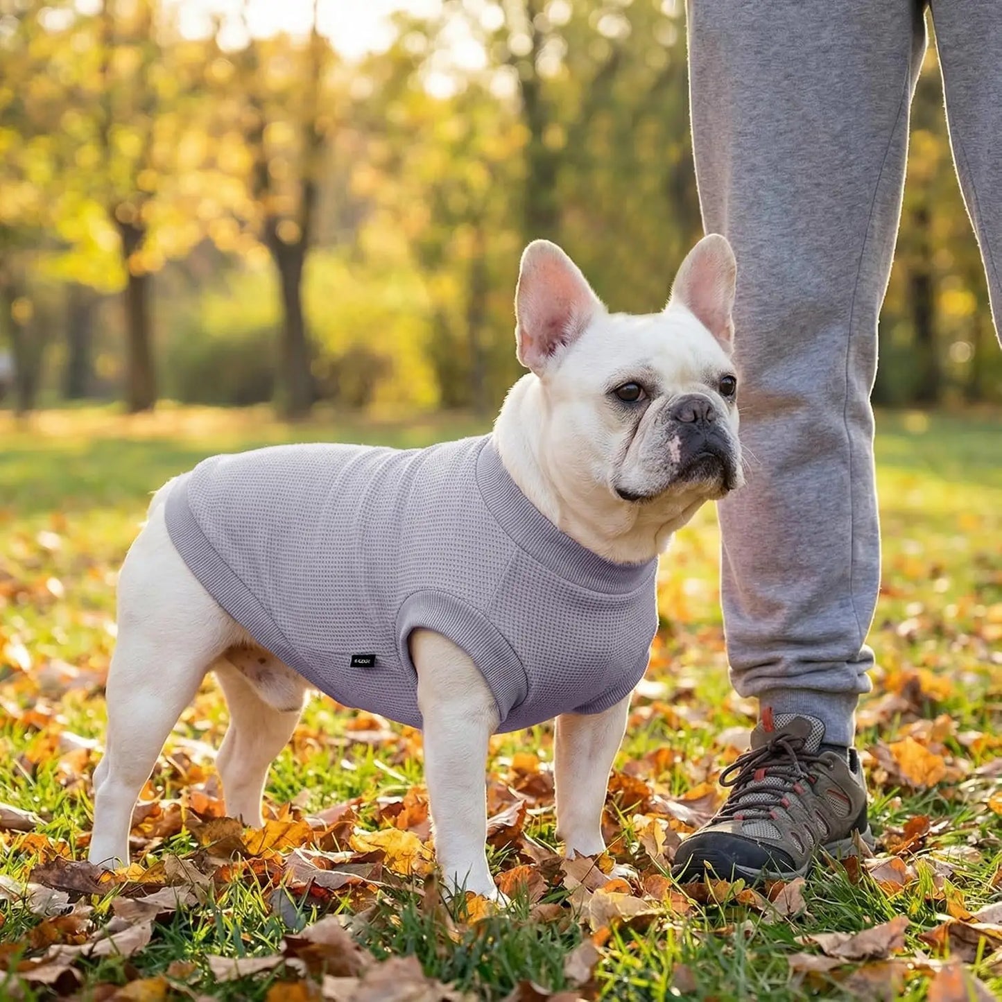 3 Pack Dog Shirts Warm Waffle Sweatshirts For Daily Walks And Cold Weather