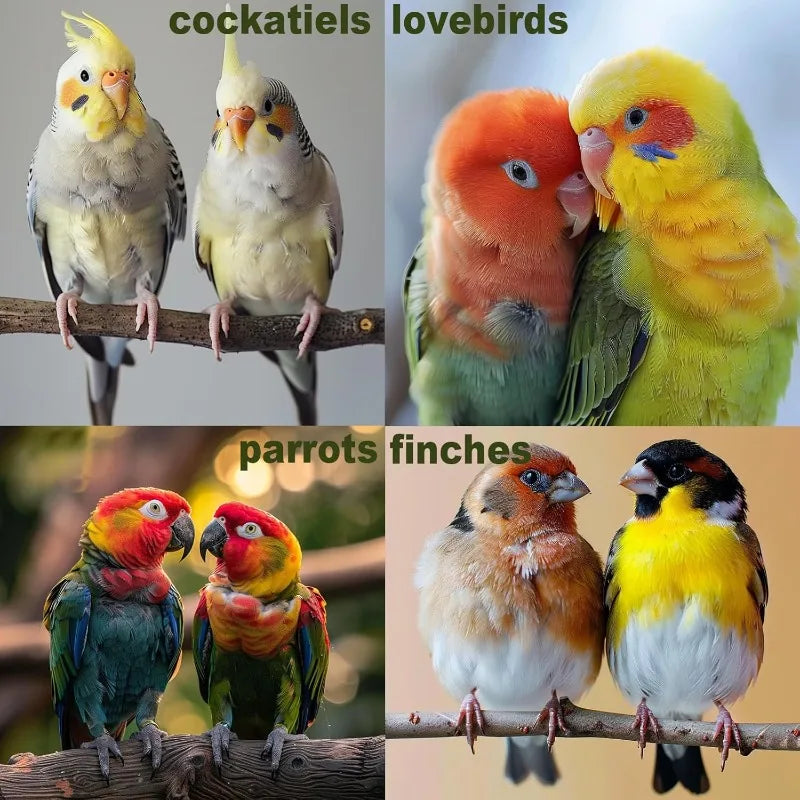 CN Zhejiang Seven Piece Wood Bird Toys Parakeet Perch Set