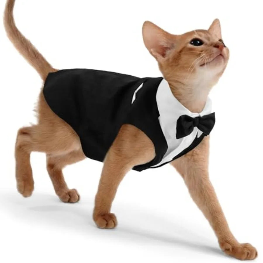 Cat Tuxedo Bow Tie Costume For Cats Formal Wear Classic