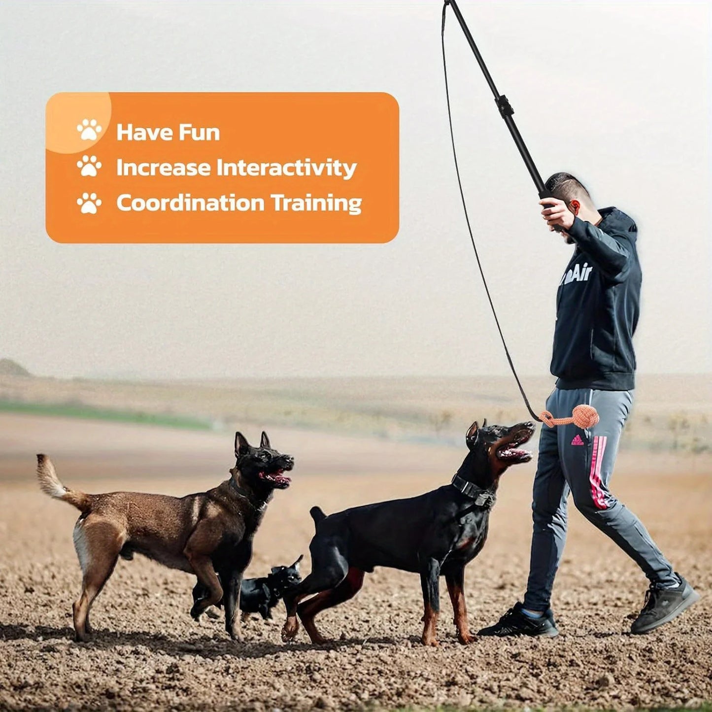 LOOBANI Dog Flirt Pole With Detachable Interactive Toys