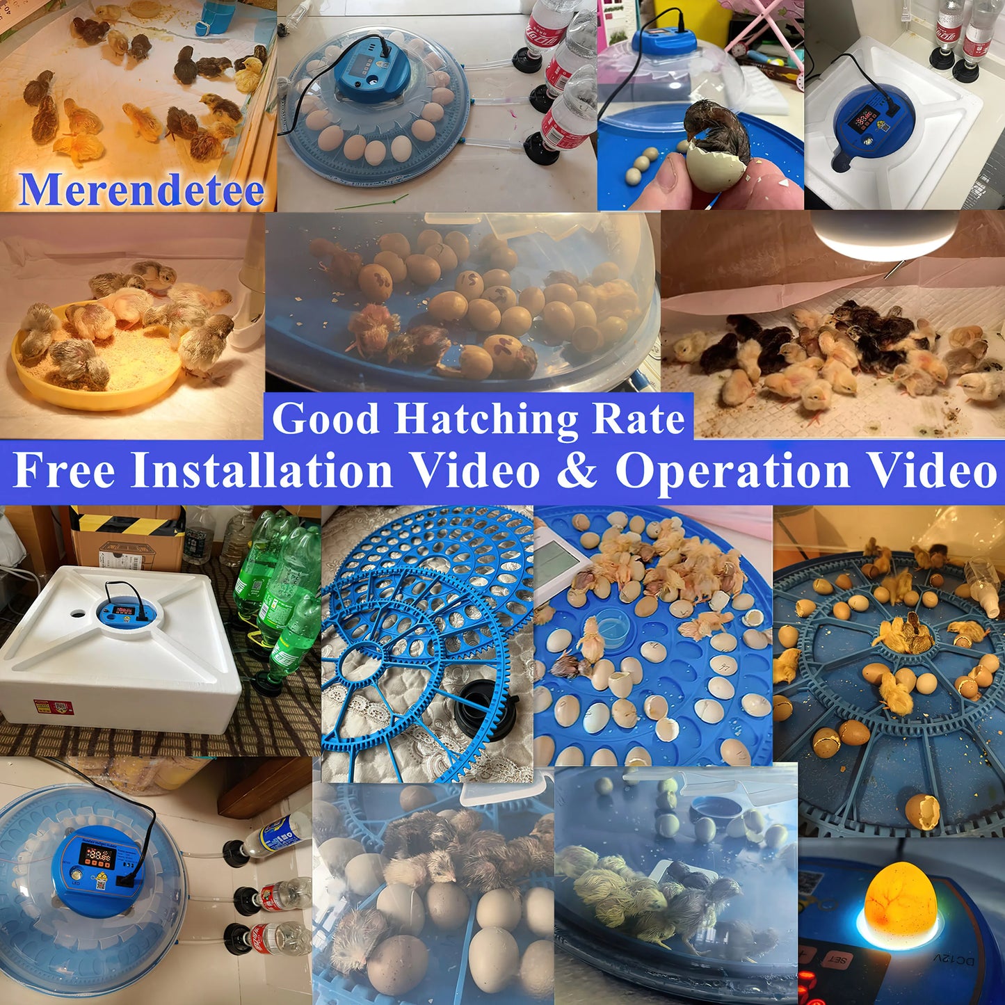 Farm Animals 26 To 52 Eggs Incubator With Automatic Water Adding 360 View