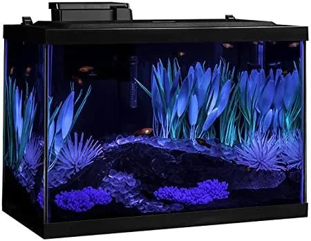 Aquarium Kit With LED Lighting And Decor Complete Fish Tank Setup