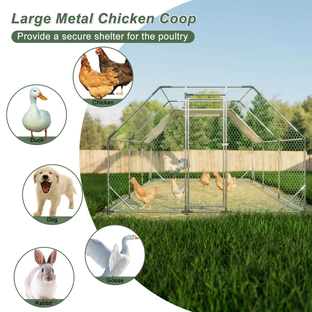 Galvanized Walk In Chicken Coop With Steel Frame Hutch