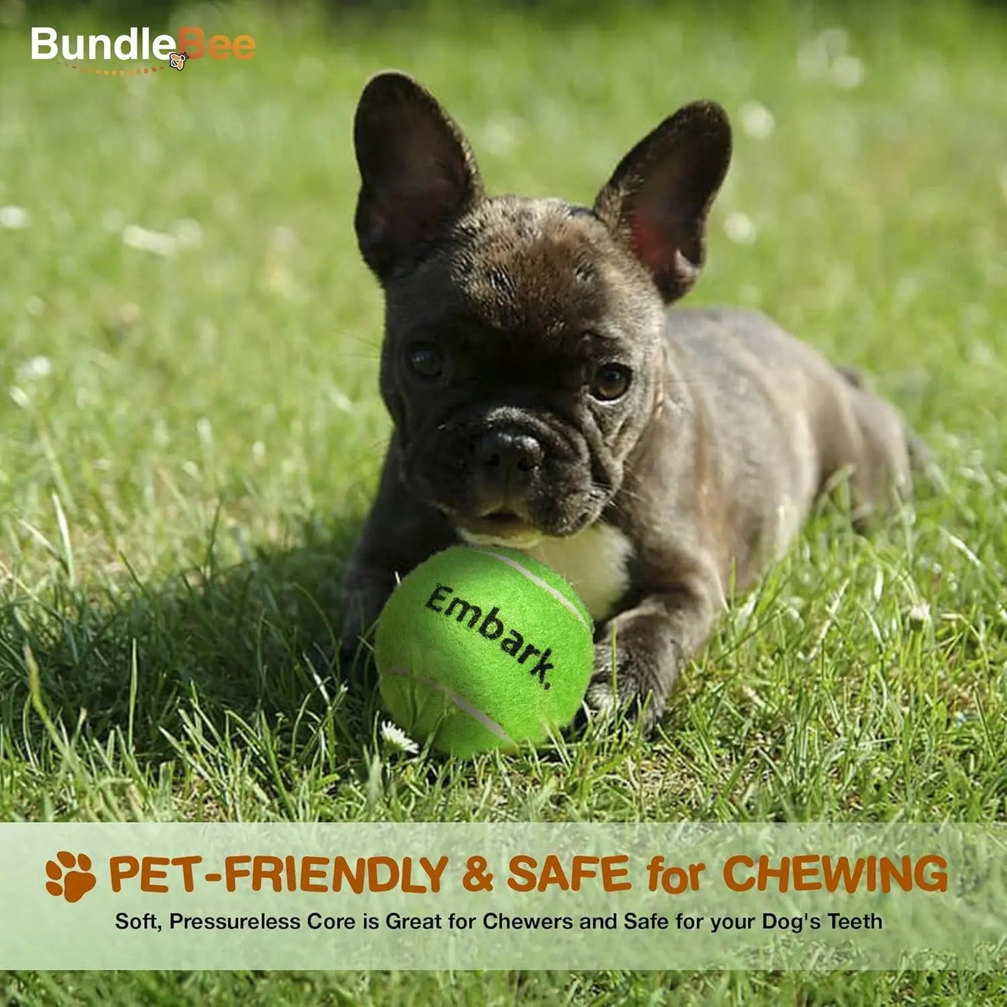 Squeaky Mini Tennis Balls for Small Dogs Training Pack