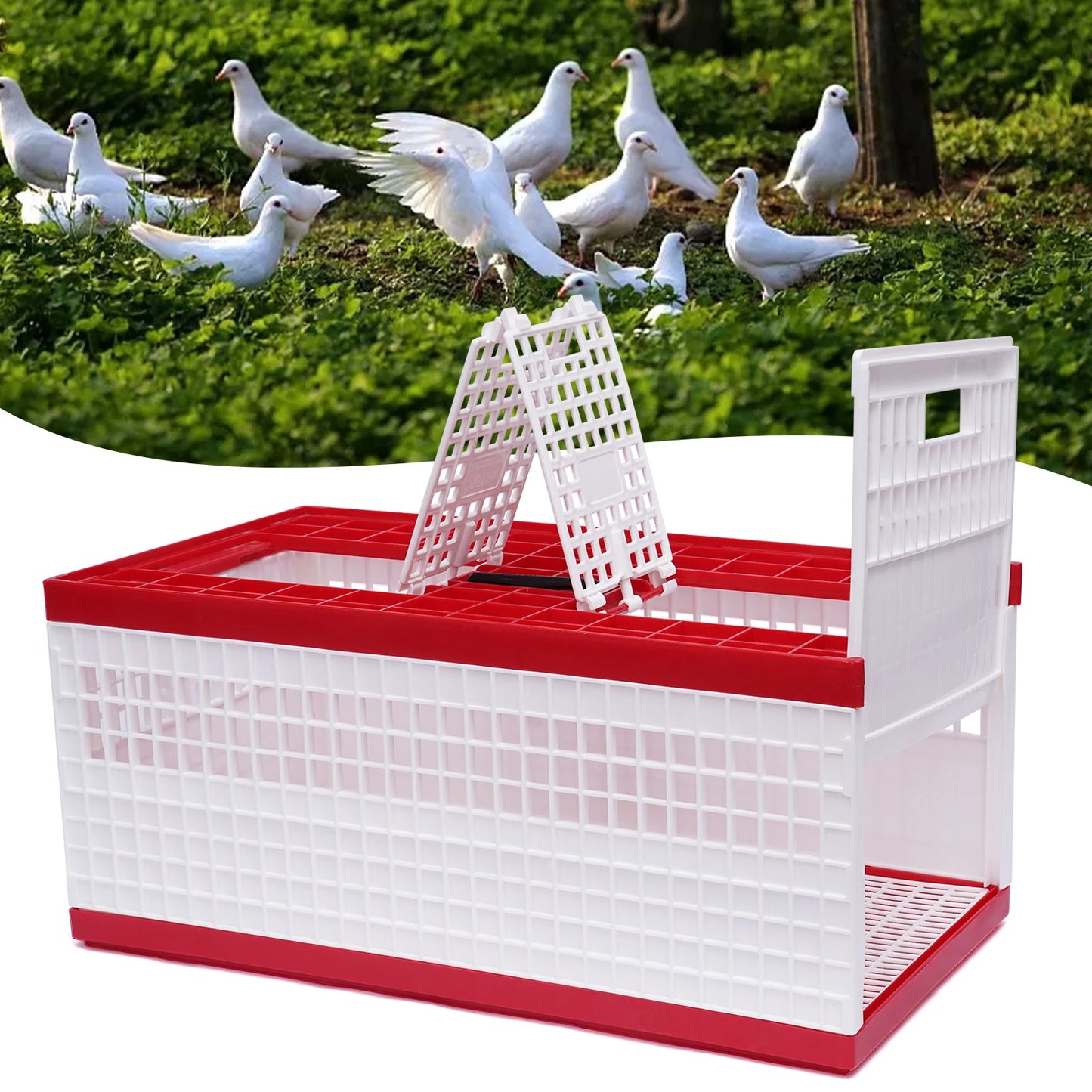 Sichuan Foldable Pigeon Cage With Handle Three-Door Transport
