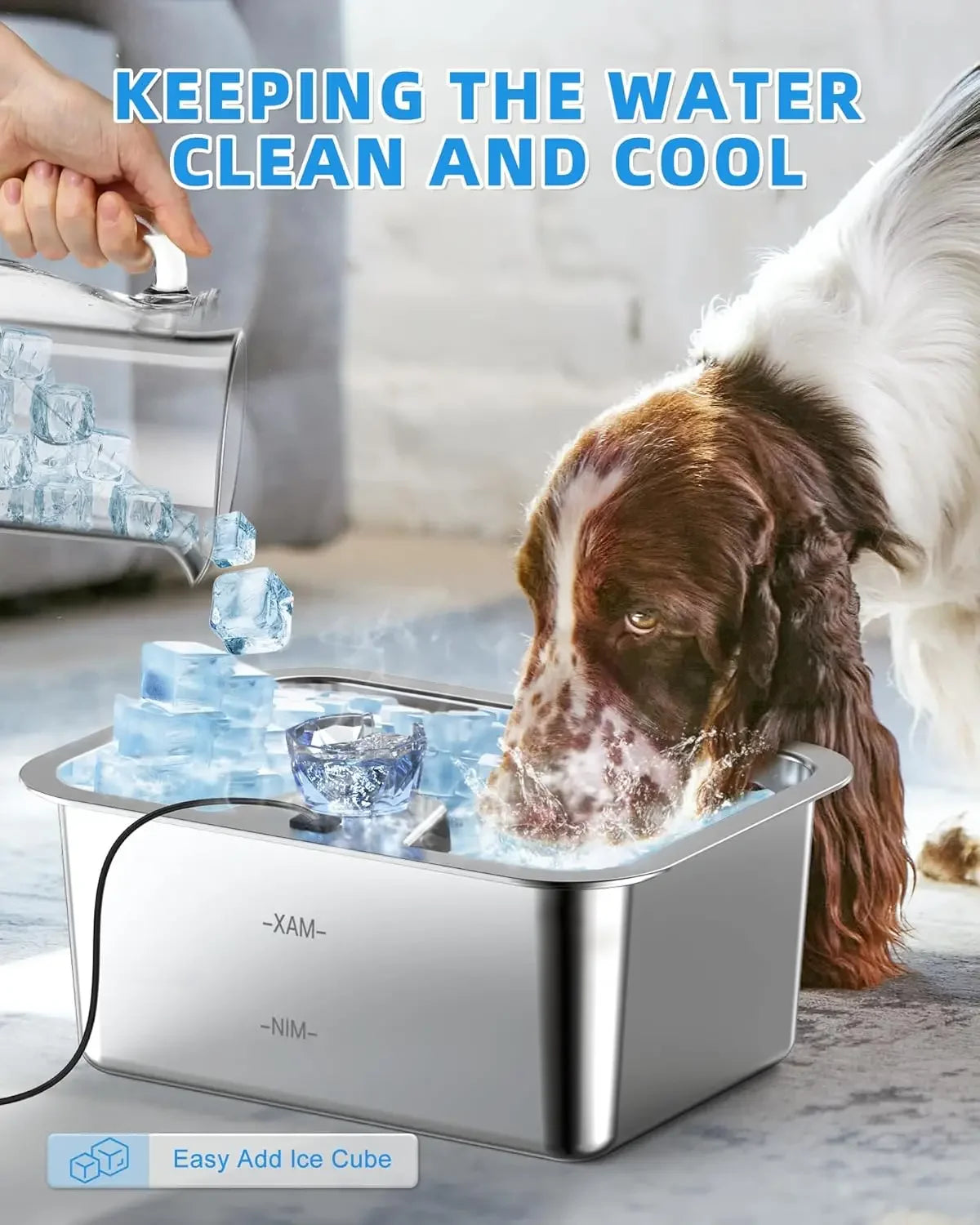XMSJ Automatic Stainless Steel Dog Water Fountain With Filters