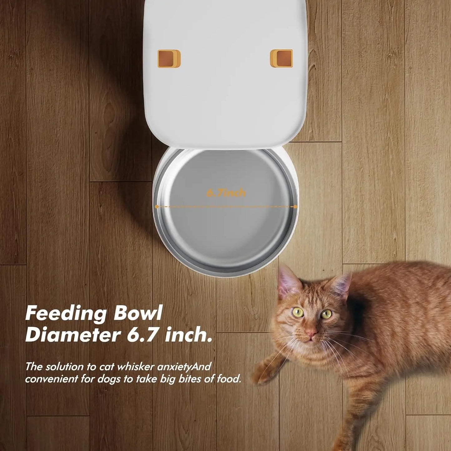 Nityers Cat Feeder With Key Control And Voice Recorder