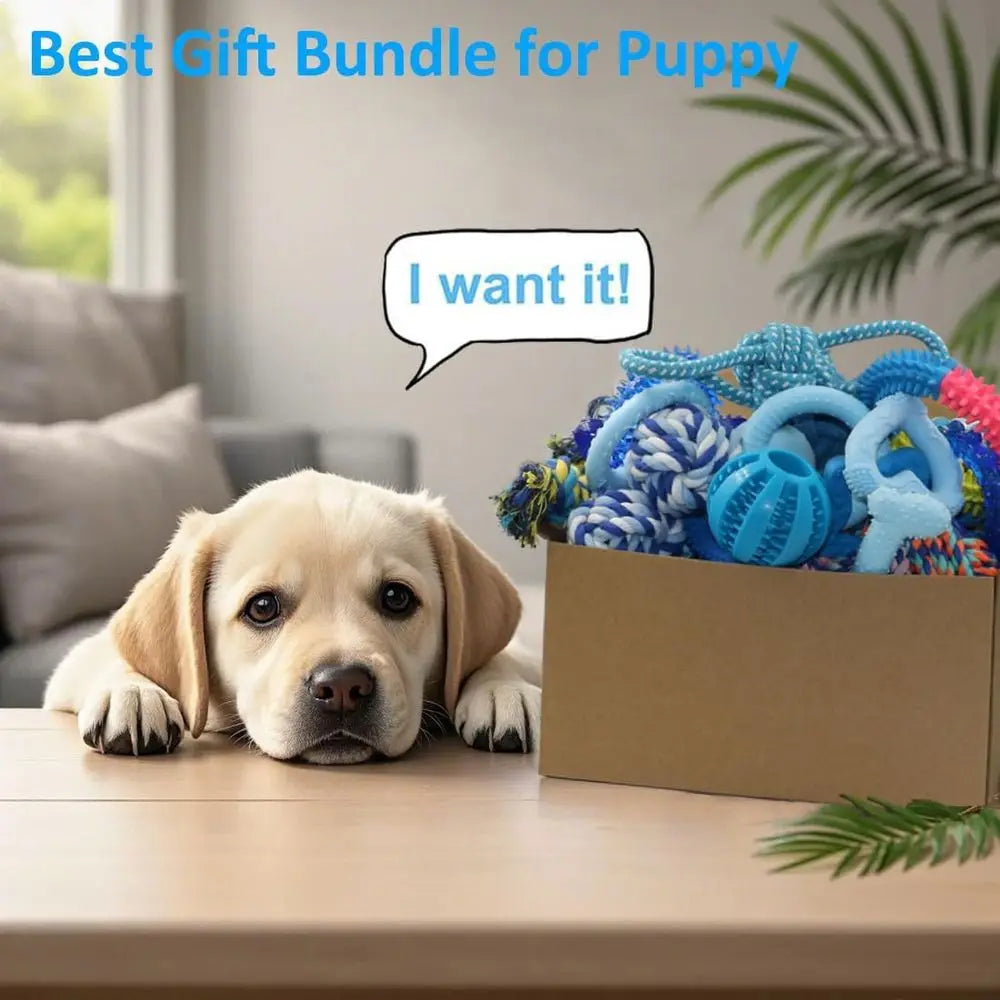 Puppy Chew Toys Bundle For Small Dogs 20 Pack Rubber