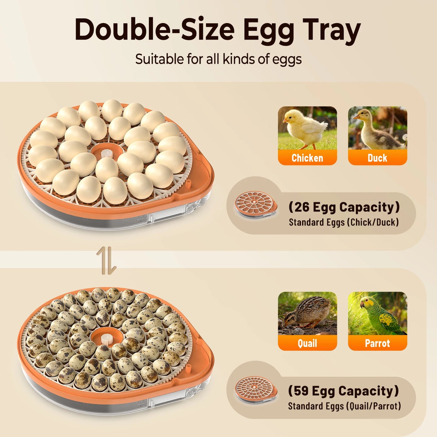 26 Egg Incubator With Automatic Turning Temperature Humidity Control LED Candler