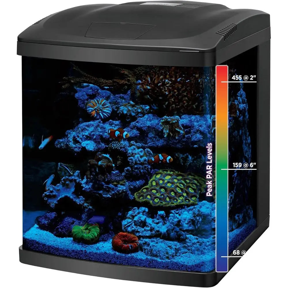 BioCube Aquarium Kit Nano Tank With Customizable LED Lighting