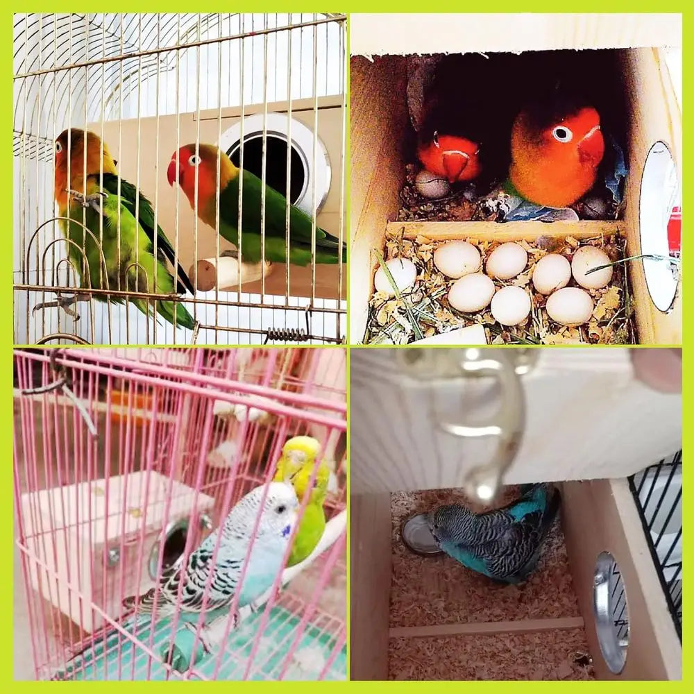 NONEM Parakeet Nest Box for Small and Medium Birds