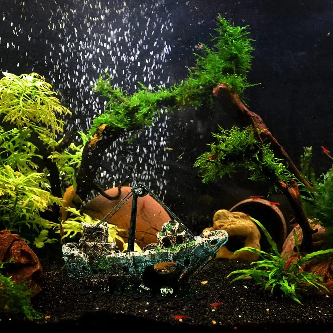 Aquarium, Terrariums & Ponds