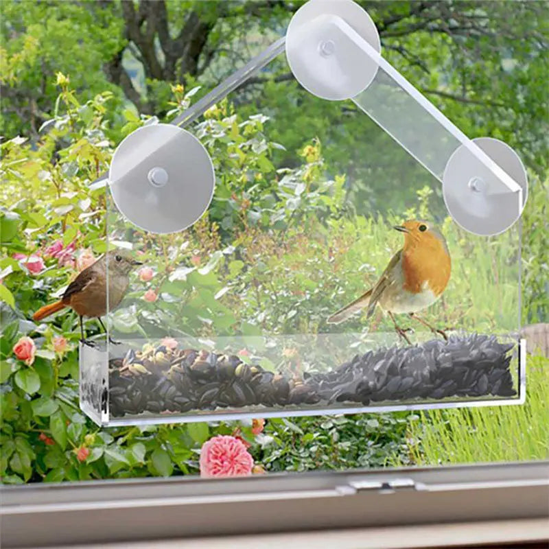 CN Guangdong Clear Acrylic Bird Cage Pet Feeder Window Mount