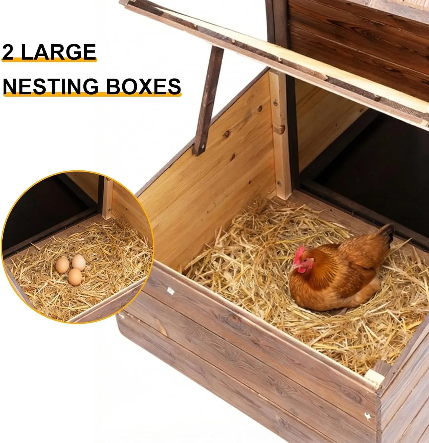 Wooden Chicken Coop With Two Nesting Boxes For Two Chickens