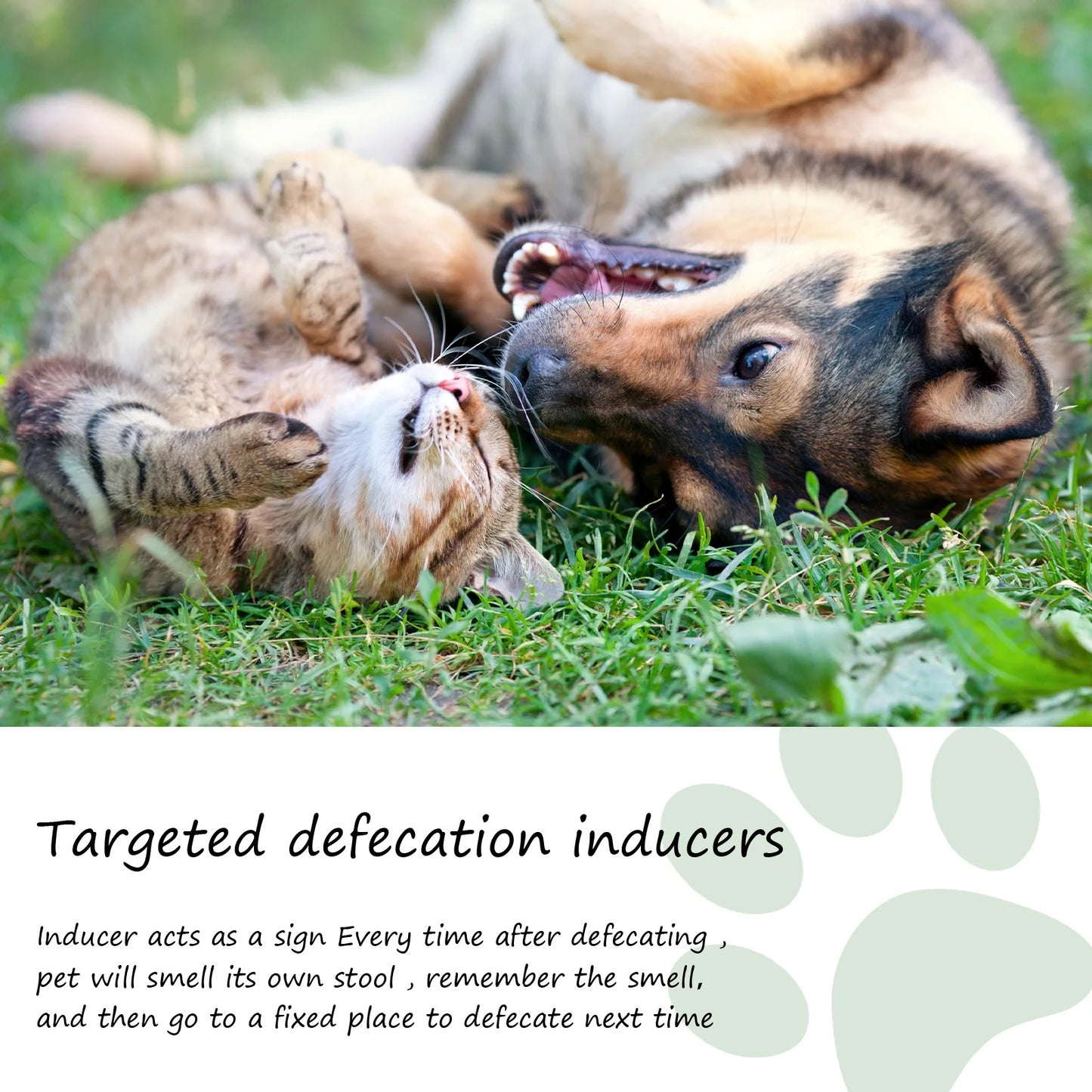 Pet Toilet Training Spray For Dogs And Cats Positioning Poop