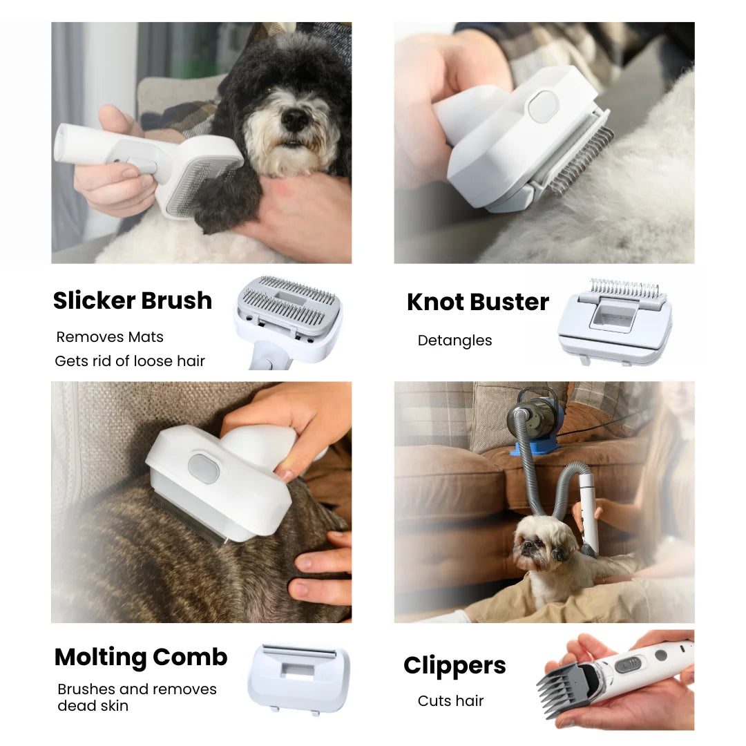 Grooming Kit For Dogs And Cats With Vacuum Low Noise