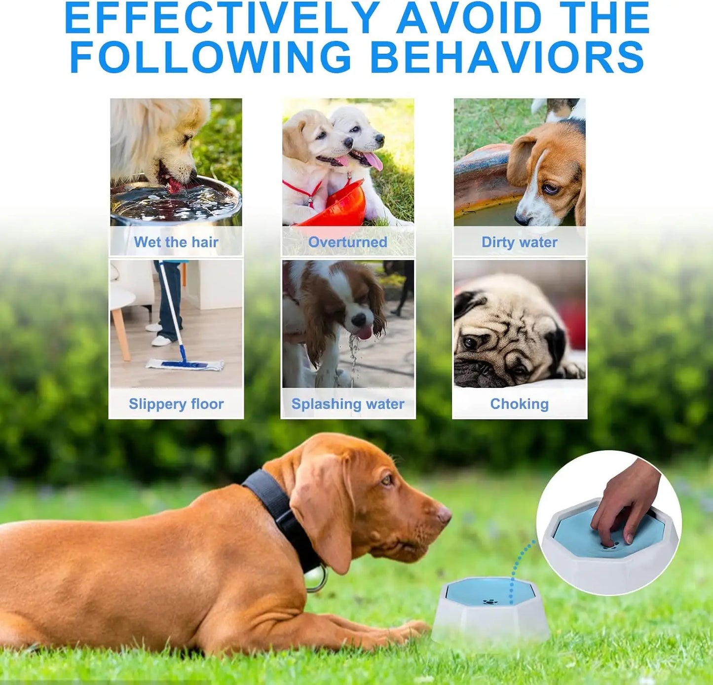 Floating Pet Water Bowl No Spill for Car Travel Convenience