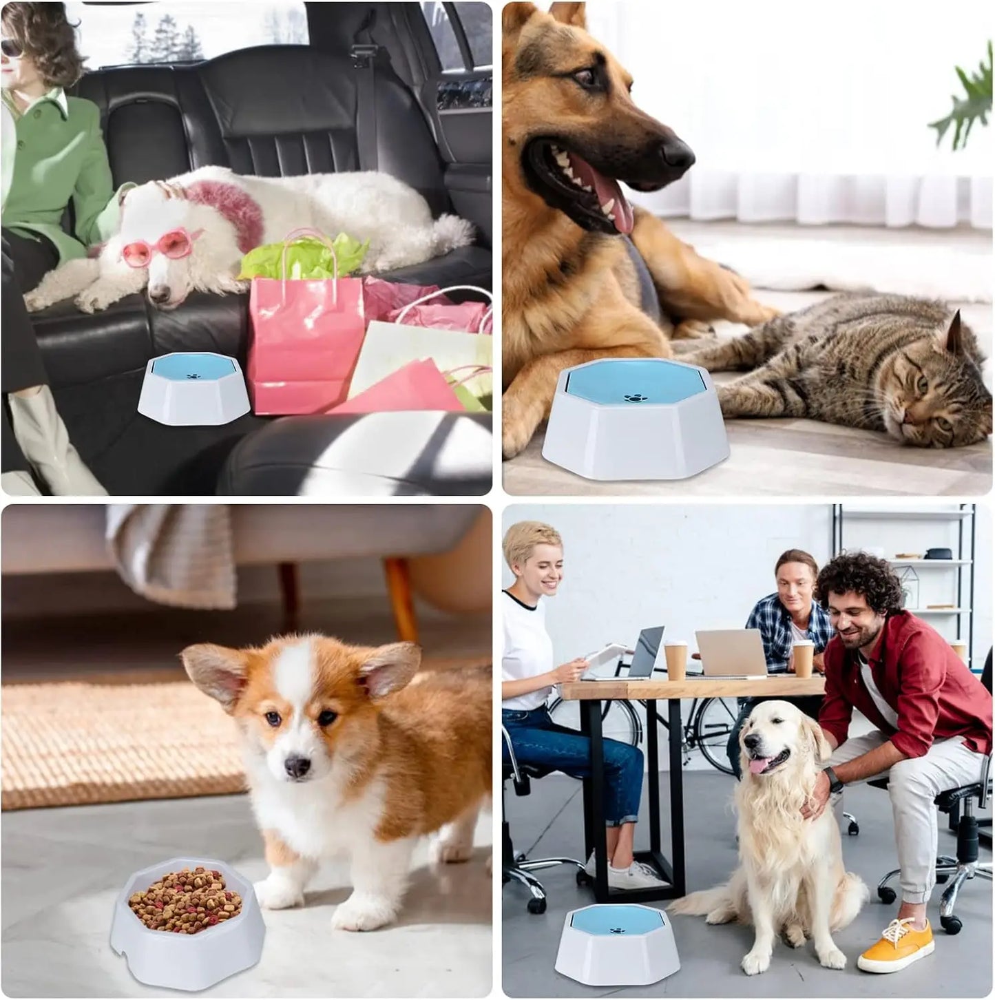 Floating Pet Water Bowl No Spill for Car Travel Convenience