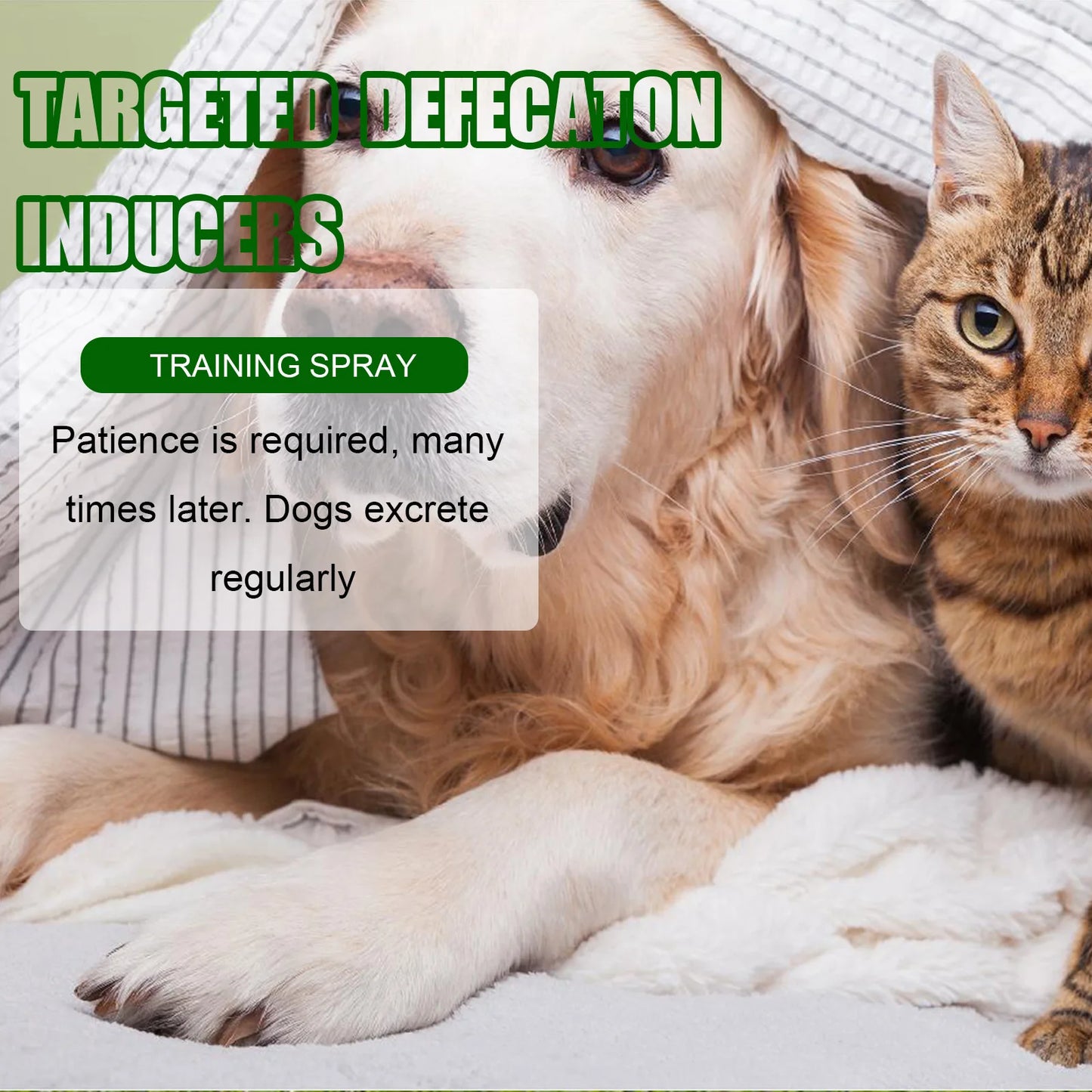 Pet Toilet Training Spray For Dogs And Cats Positioning Poop