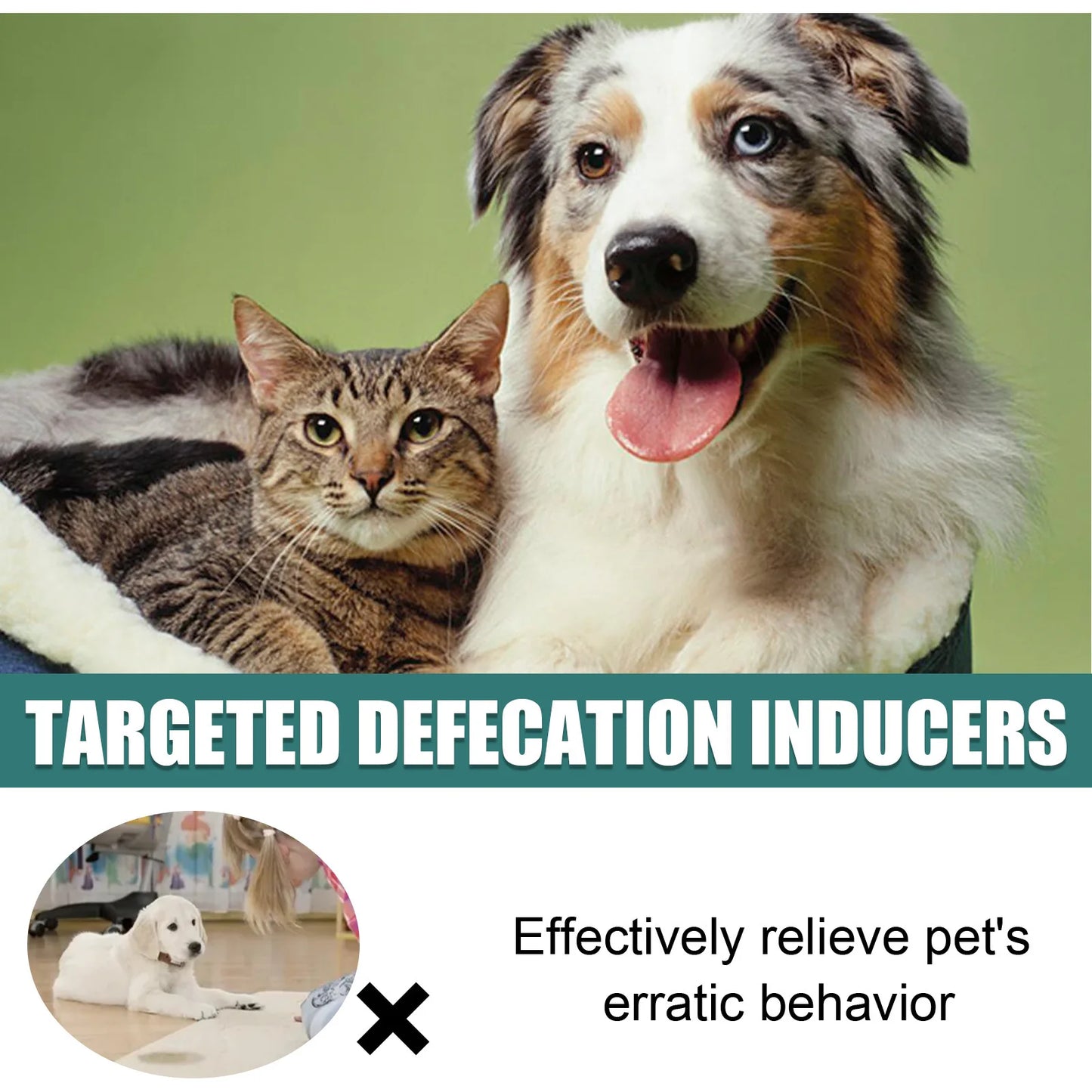 Pet Toilet Training Spray For Dogs And Cats Positioning Poop