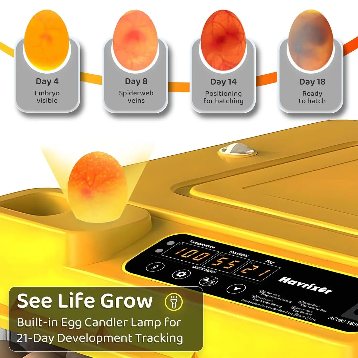 36-216 Egg Incubator For Hatching Chicken Duck Goose Eggs Automatic