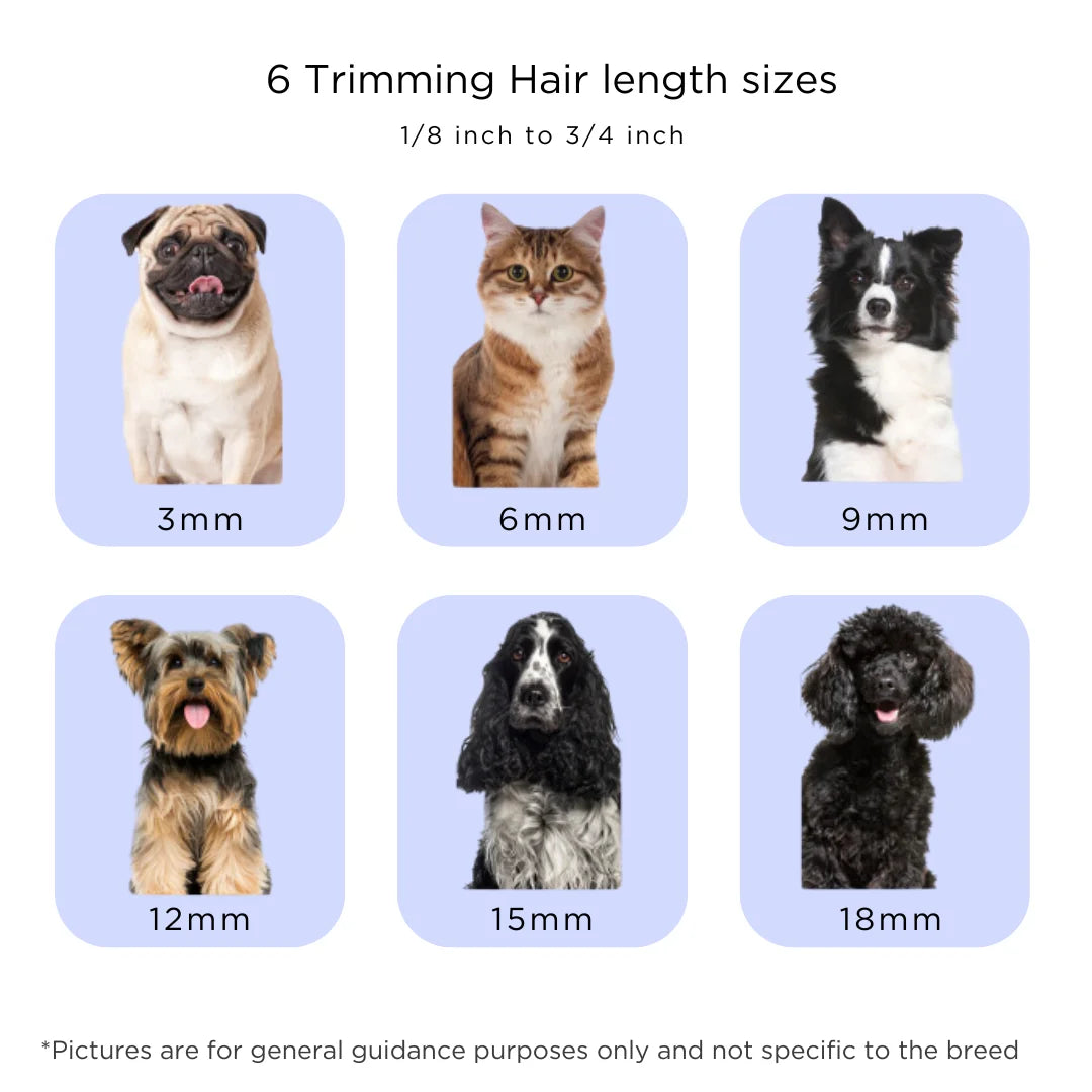 Grooming Kit For Dogs And Cats With Vacuum Low Noise
