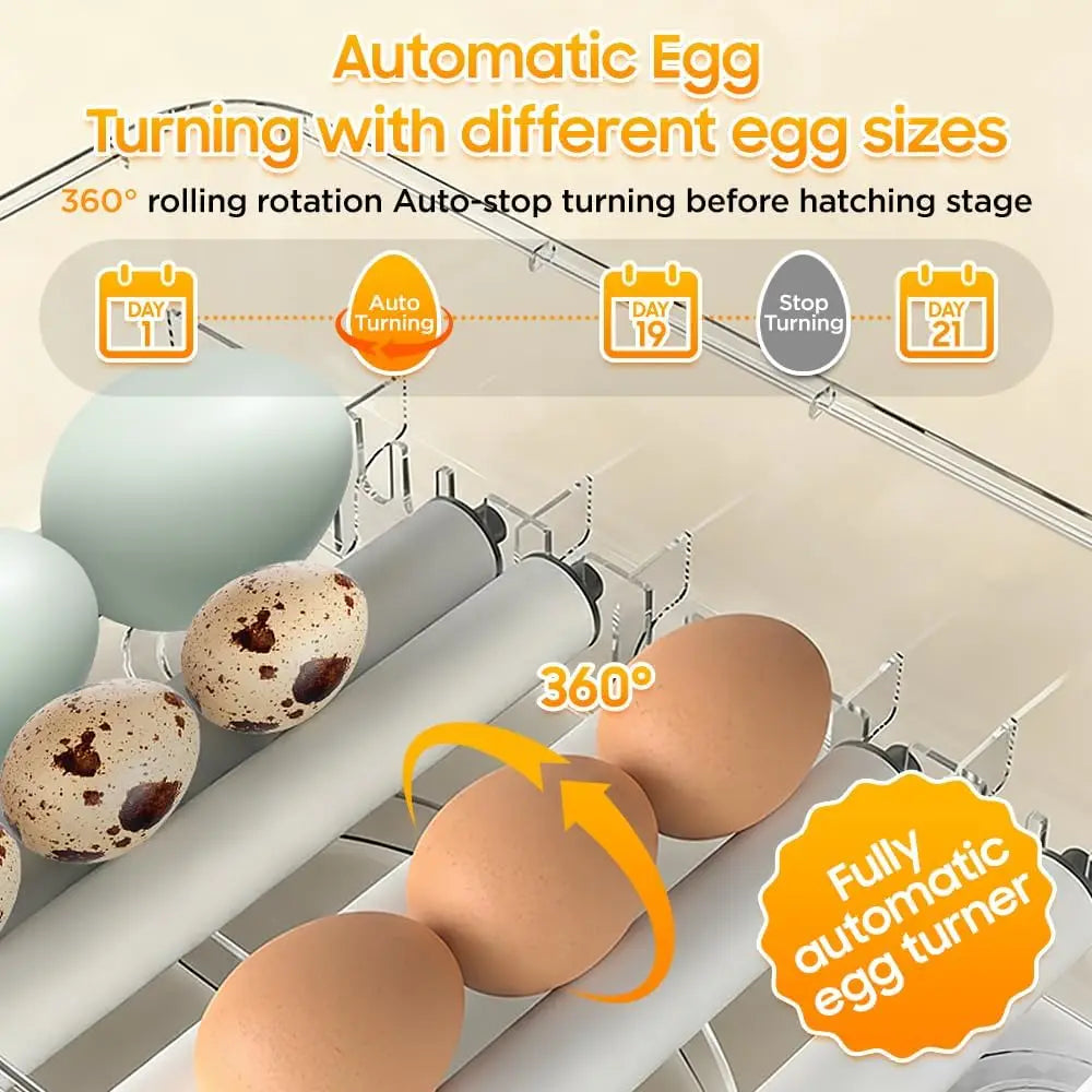 36-216 Egg Incubator For Hatching Chicken Duck Goose Eggs Automatic