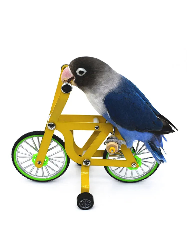 Bird Intelligence Parrot Bicycle Training Toy Four Wheel Educational Toy