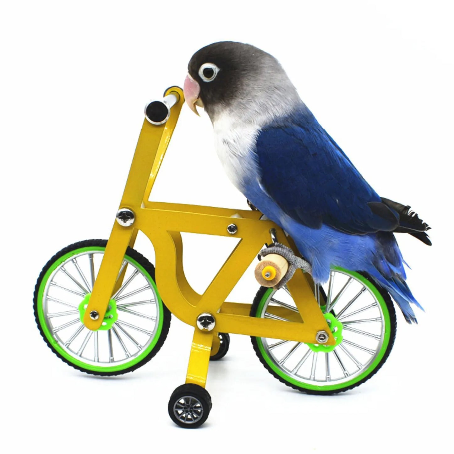 Bird Intelligence Parrot Bicycle Training Toy Four Wheel Educational Toy