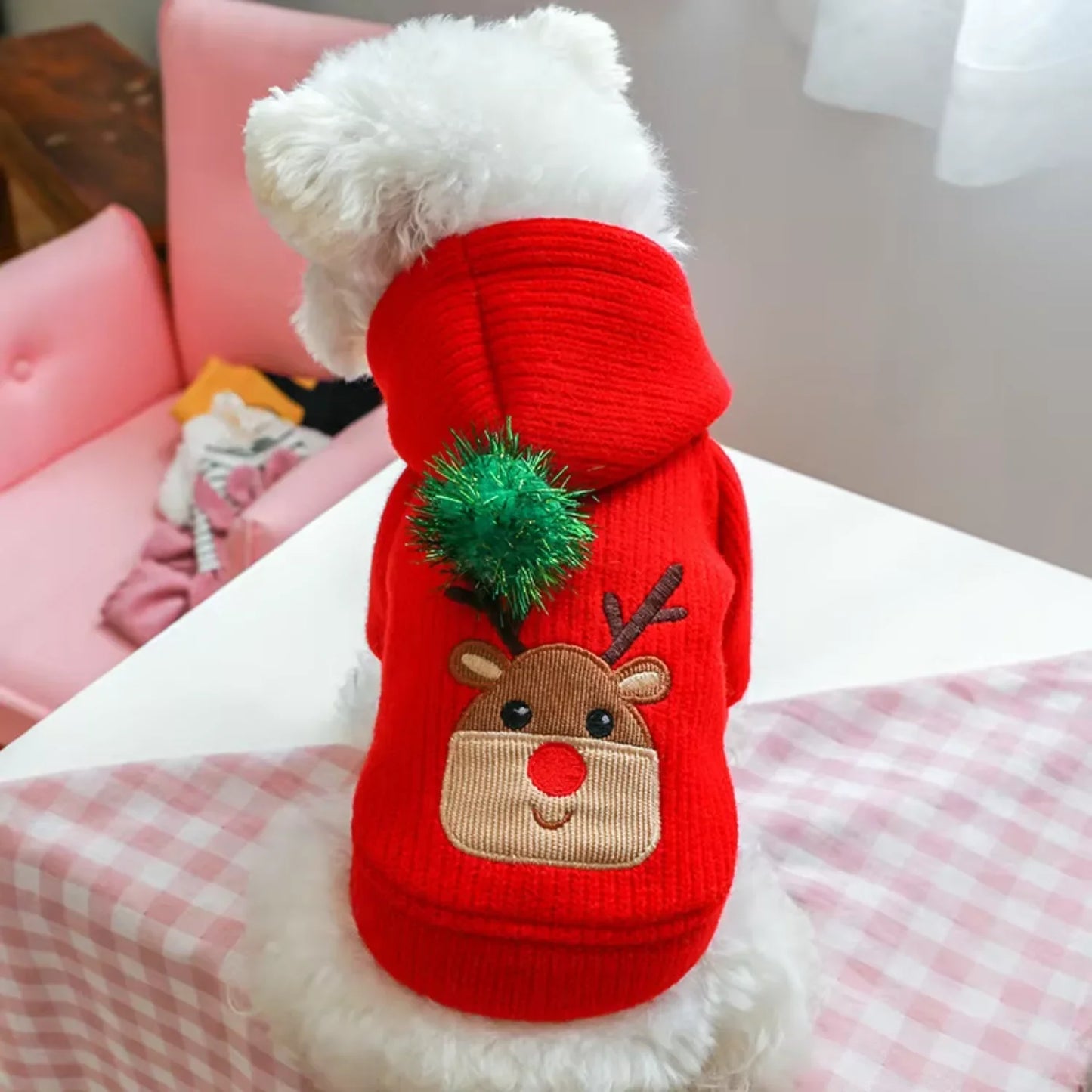 Pet Skirt Dress Winter Christmas Coat For Dogs Cozy