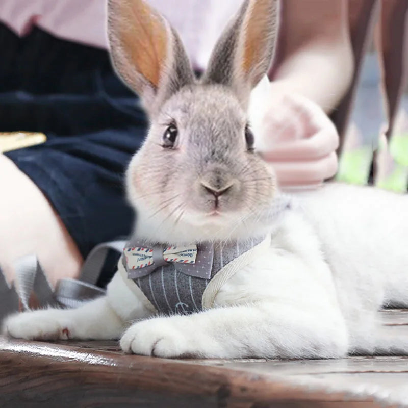 XLeiPet Gentleman Rabbit Cat Vest Harness With Bow Tie Leash