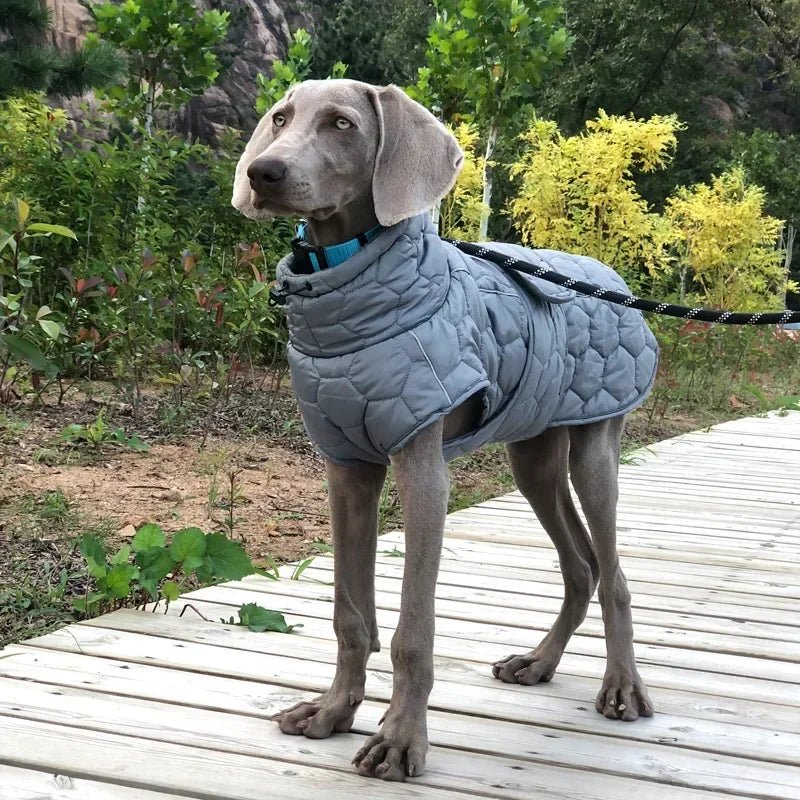 Winter Reflective Snowsuit for Dogs Waterproof Down Jacket