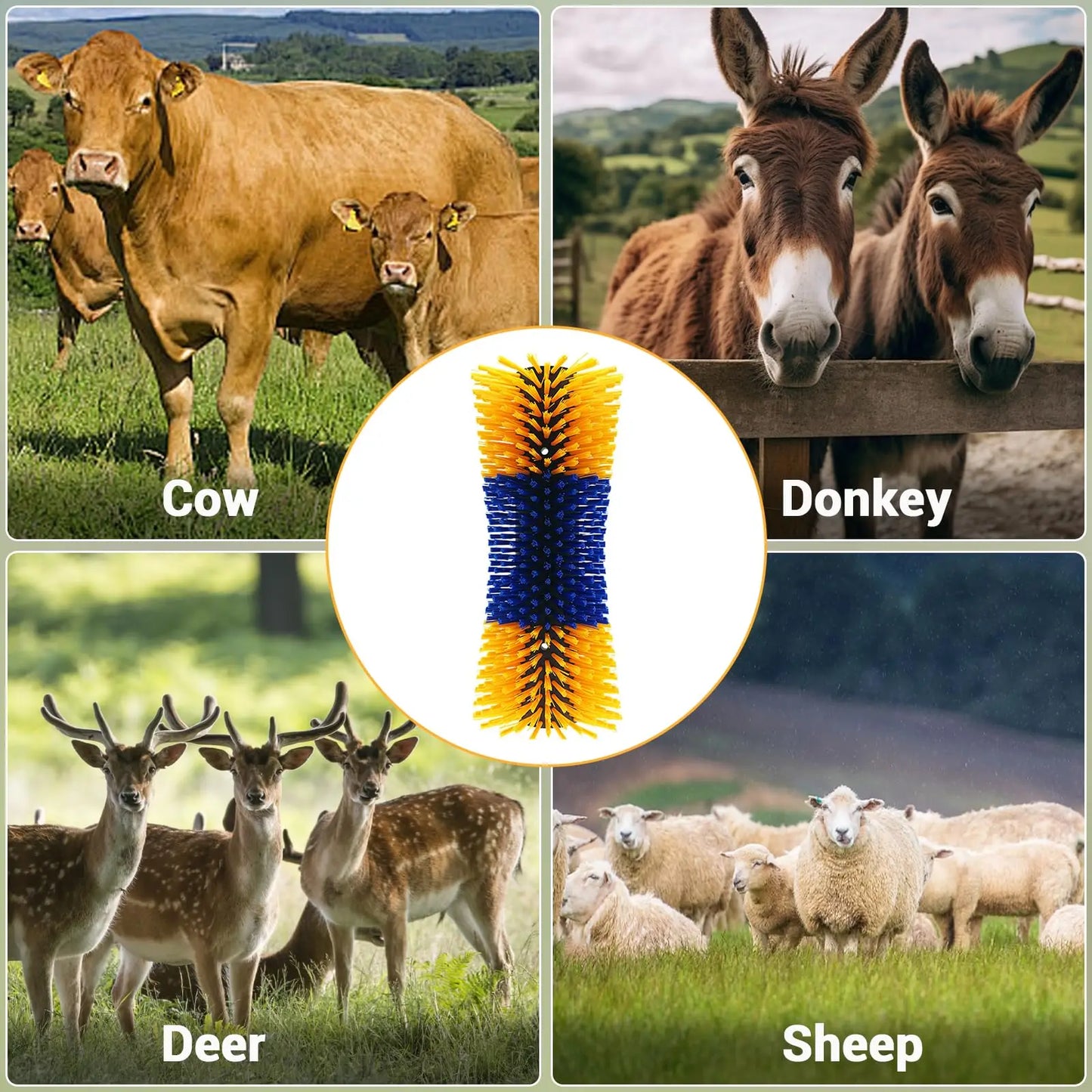 Hign-concerned Horse Hair Brush Kit For Horse Grooming