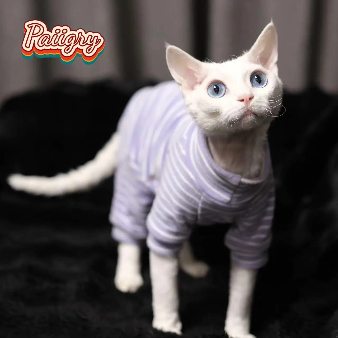 Hairless Cat Clothes Sphinx Warm Stretchy Vest For Pets