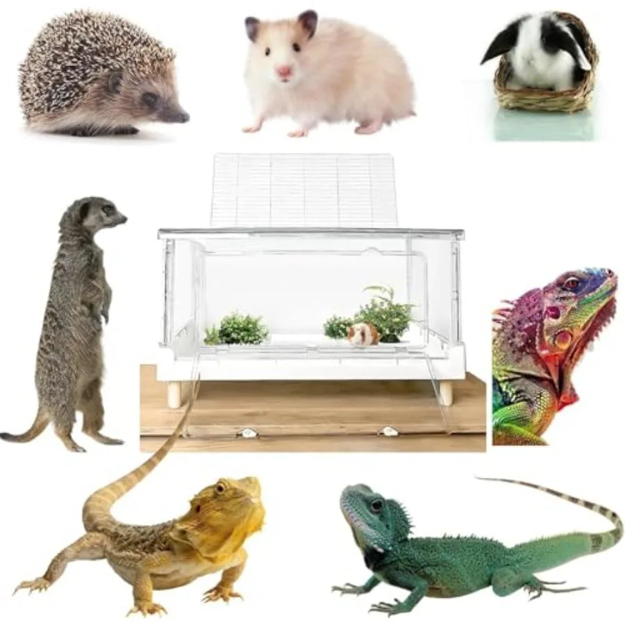 Guangdong Acrylic Hamster and Guinea Pig Cage for Small Pets
