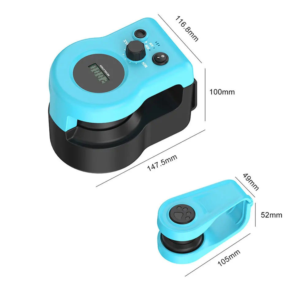 Guangdong DIY Mouse Hunting Cat Toy Treadmill Kitten