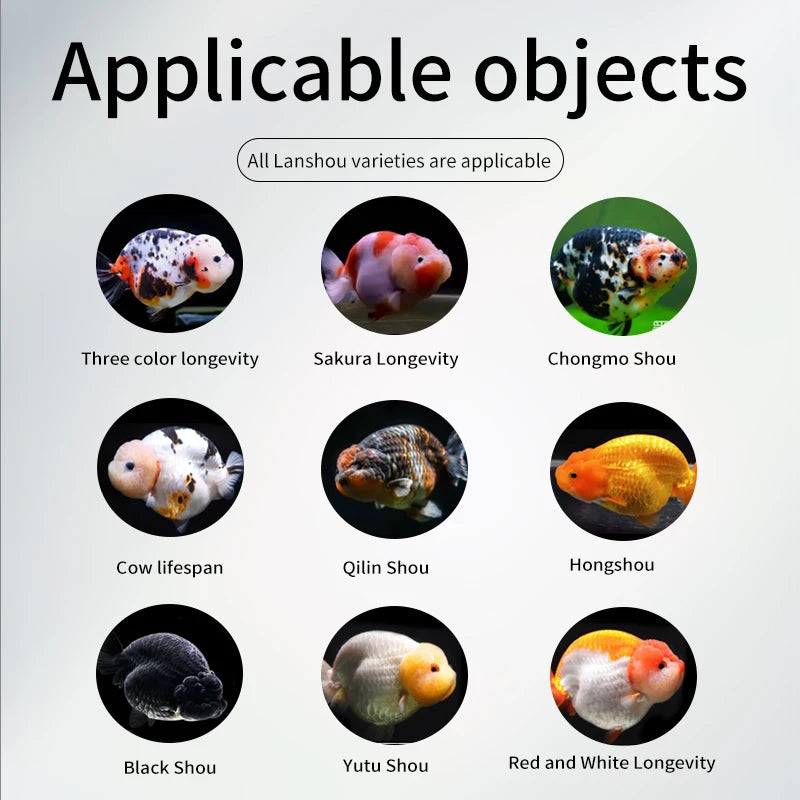 High-concerned Ranchu Lionhead Goldfish Sinking Pellet Feed