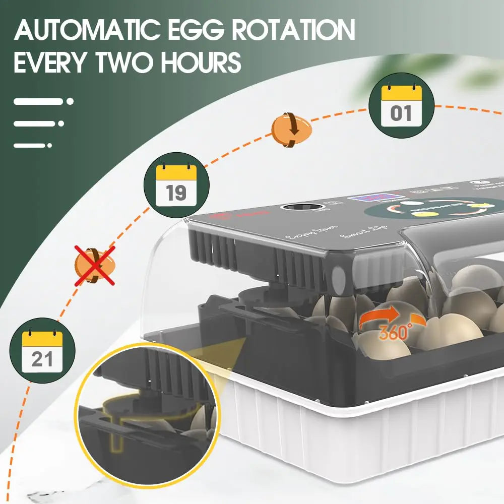 12 Egg Incubator With Automatic Turner And Temperature Control