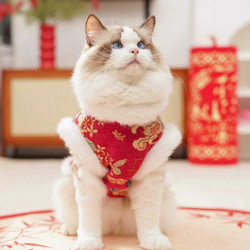DKSTINYE Velvet Pet Vest For Cat And Dog Winter Wear