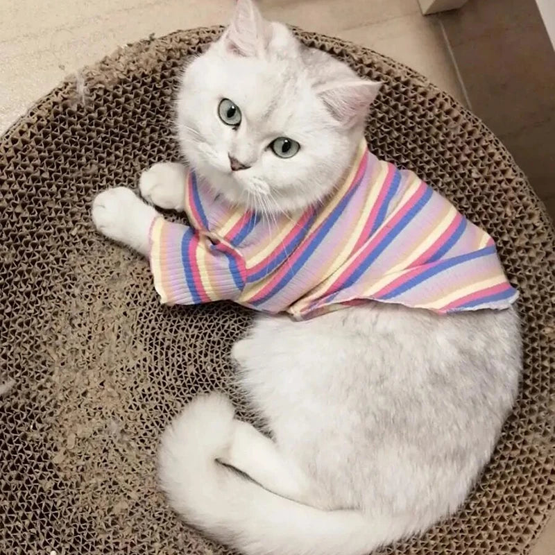 Striped Sphynx Cat Vest Shirt For Small Cats Pet Clothing