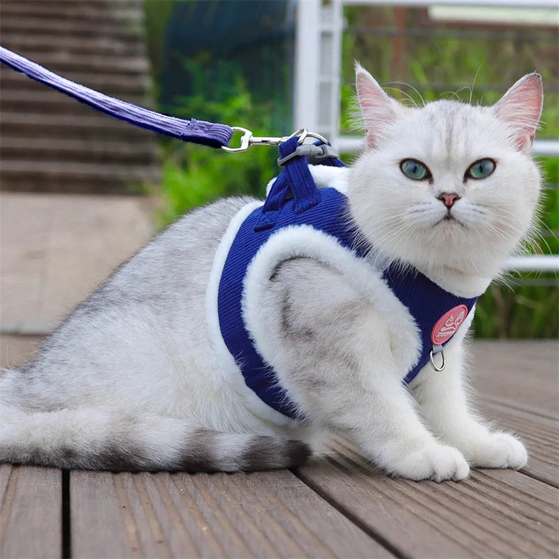 Sphynx Cat Harness Vest With Fur Winter Warm Leash Set