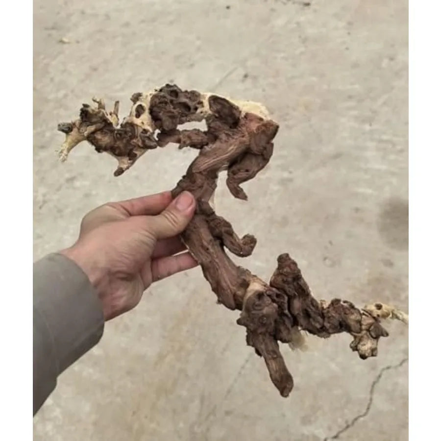 Hign-concerned Driftwood Aquarium Decor Natural Wood