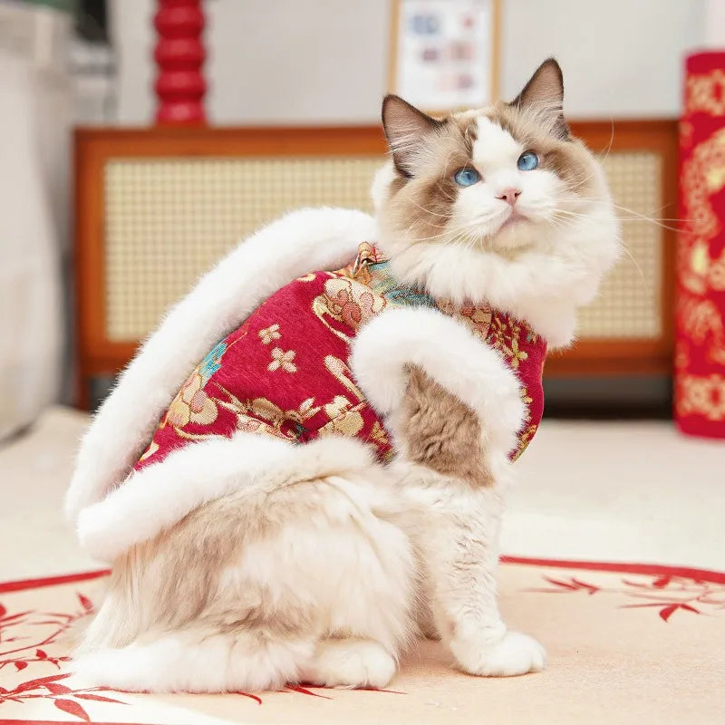 DKSTINYE Velvet Pet Vest For Cat And Dog Winter Wear